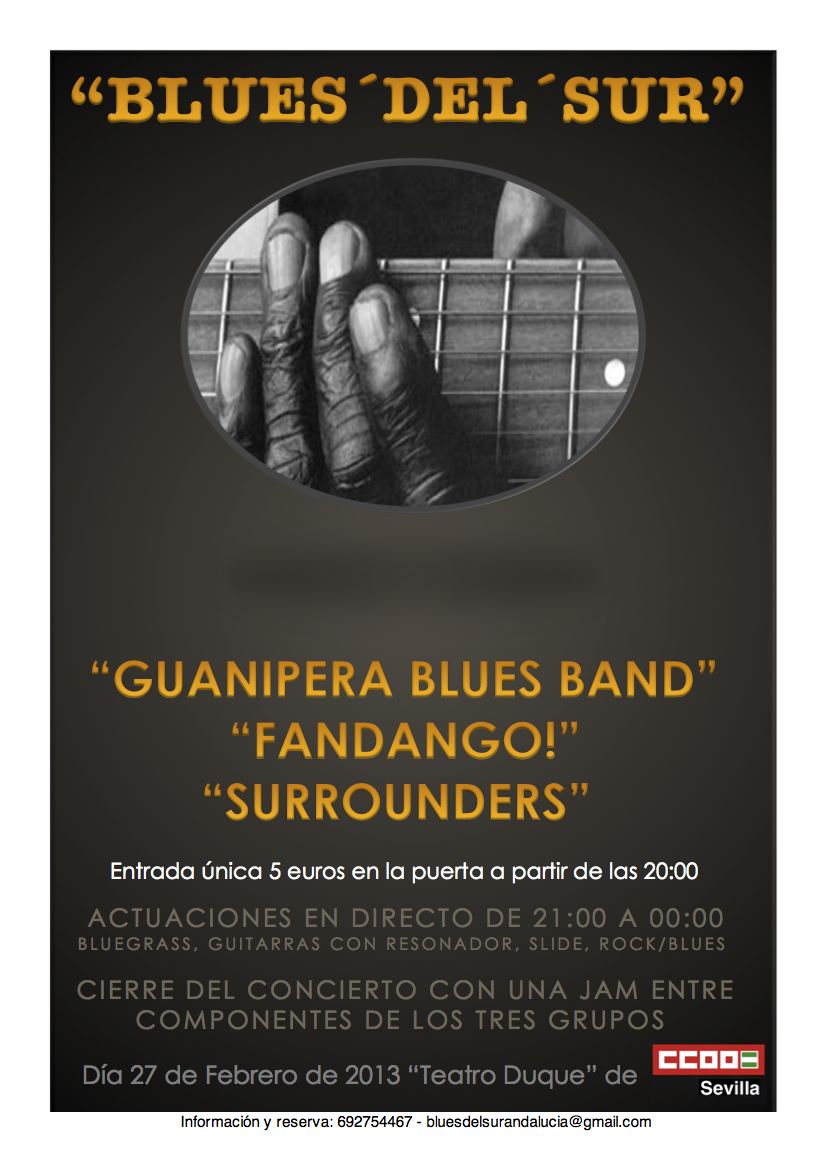 Cartel Festival Blues Del Sur 2013