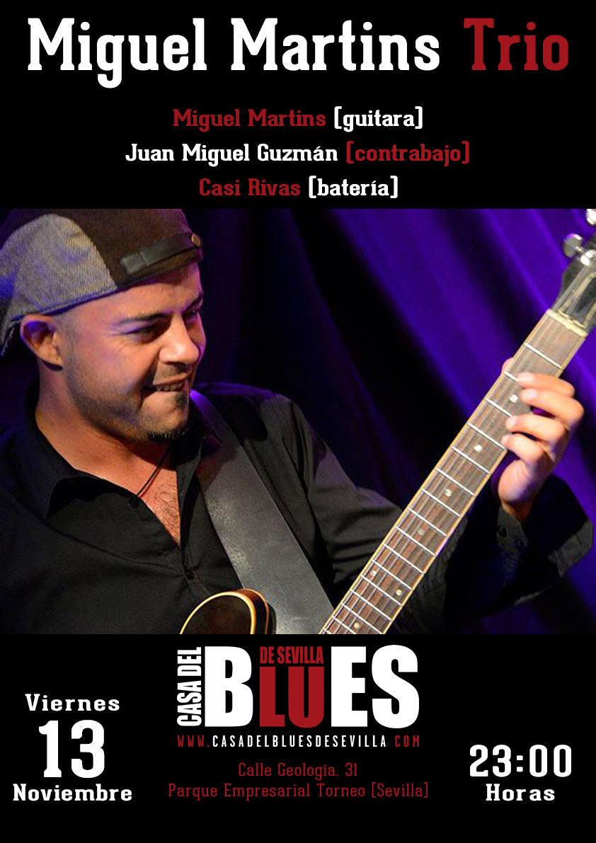 ConciertoMiguelMartins 13Noviembre2015