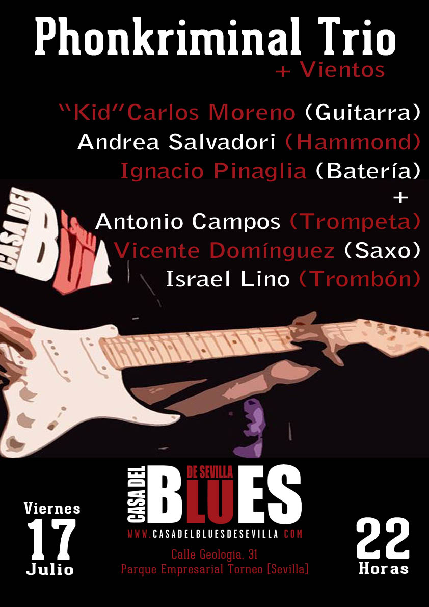 ConciertoPhonkriminal17Julio2015