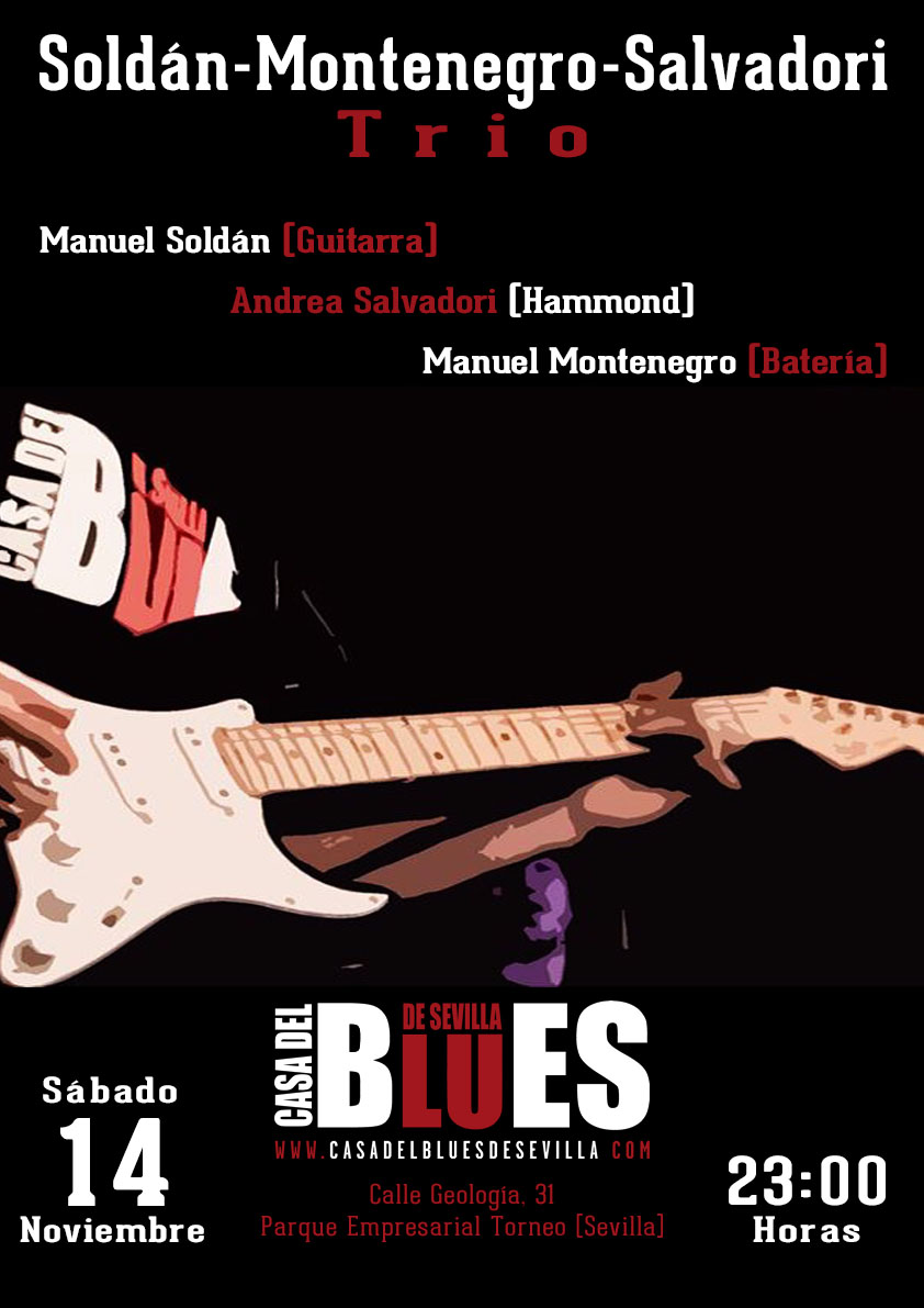 ConciertoSoldanMontenegroSalvadoriTrio 14Noviembre2015