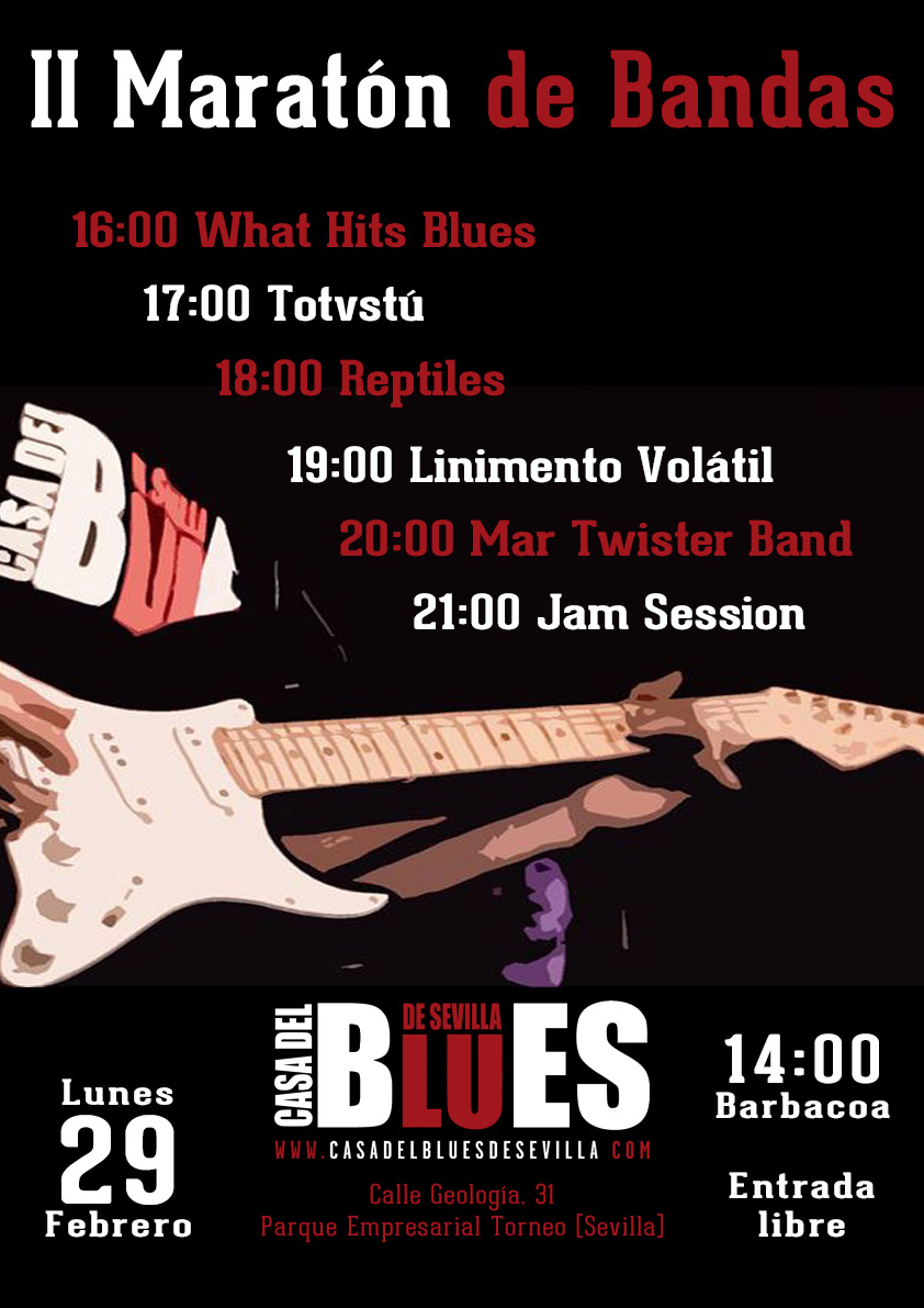 Maraton Bandas 29 Febrero 2016