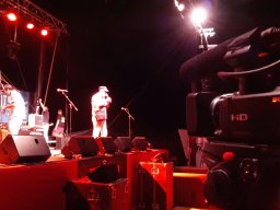 1266601_246879738797912_818307116_o