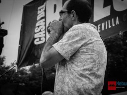 1270221_573856929344374_1520116282_o